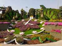 Miracle Garden