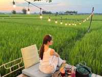 🇻🇳🌾🌾 4 ร้านกาแฟวิวทุ่งนาเขียวจีในฮอยอัน 🌾🌾🇻🇳