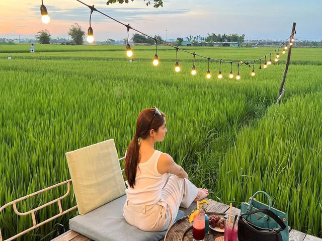 🇻🇳🌾🌾 4 ร้านกาแฟวิวทุ่งนาเขียวจีในฮอยอัน 🌾🌾🇻🇳