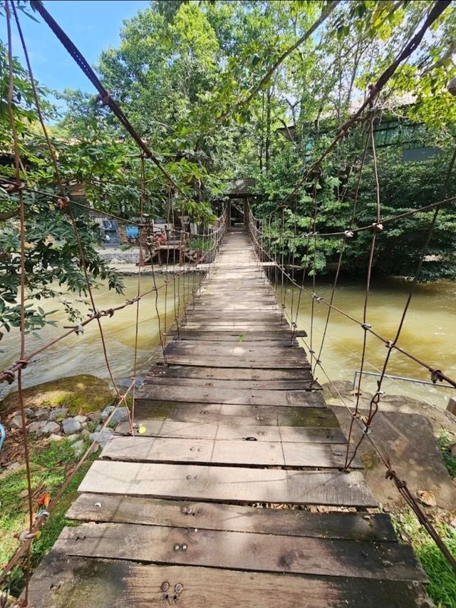 🏞️ คาเฟ่วิวภูเขา 88 Coffee in Khaoyai