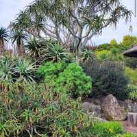 Auckland Botanic Gardens Sculpture Trail 🎨