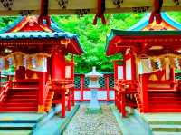 Gokokuji Temple – A Monument to Peace and Resilience