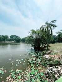 Paya Indah Wetlands Sepang: A Scenic Escape into Nature’s Calm