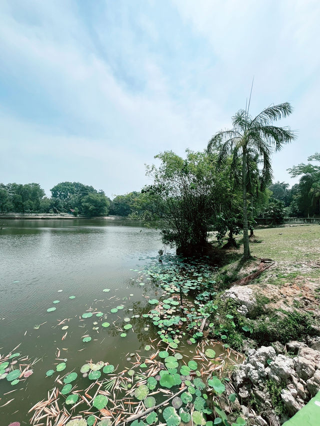 Paya Indah Wetlands Sepang: A Scenic Escape into Nature’s Calm