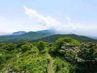 🌲 절물오름 – 삼나무 숲의 청량한 공기