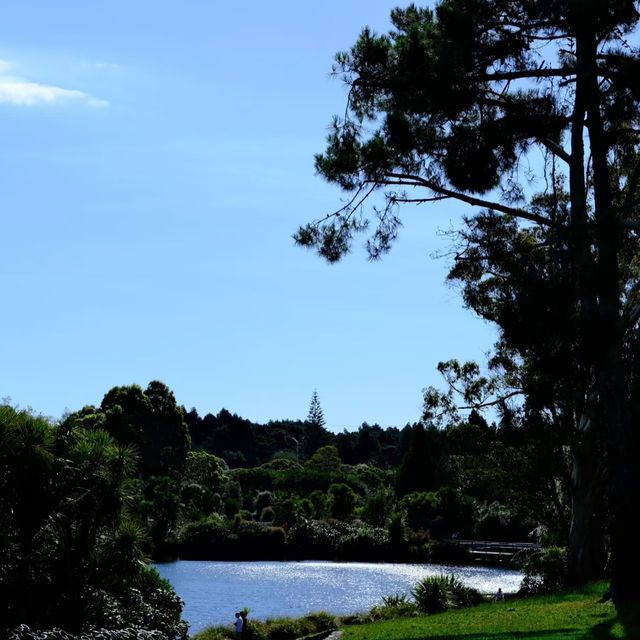 Auckland Botanic Gardens – A Living Treasure of Flora