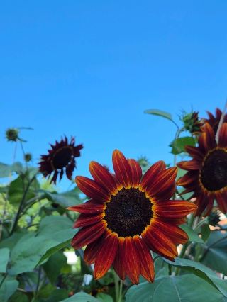 Sweet Sweet Beacon, upstate NY.