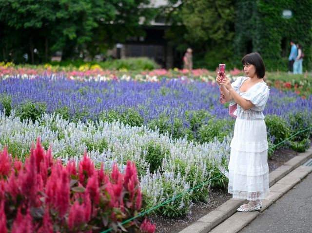 Farm Tomita Hokkaido