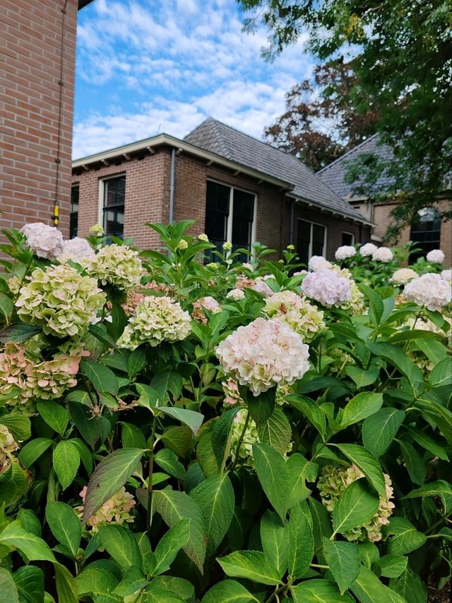 Late Summer Blooms in Giethoorn