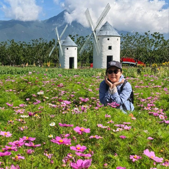 親子遊好去處！靚爆花海🌻聽花谷-麗江百花園