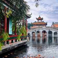 ชมปลาคาร์ป ให้อาหาร ที่สวนเปาเมอ