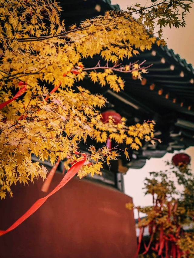 廣富林文化遺址🇨🇳