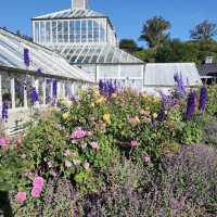 Dunedin Botanic Garden
