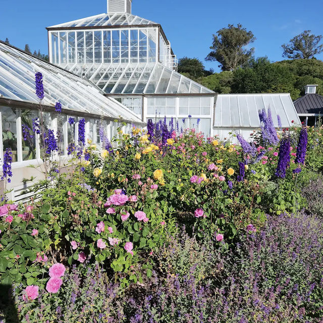 Dunedin Botanic Garden
