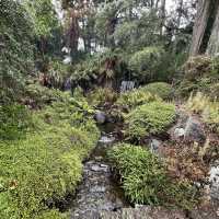 Ayrlies Garden and Wetlands