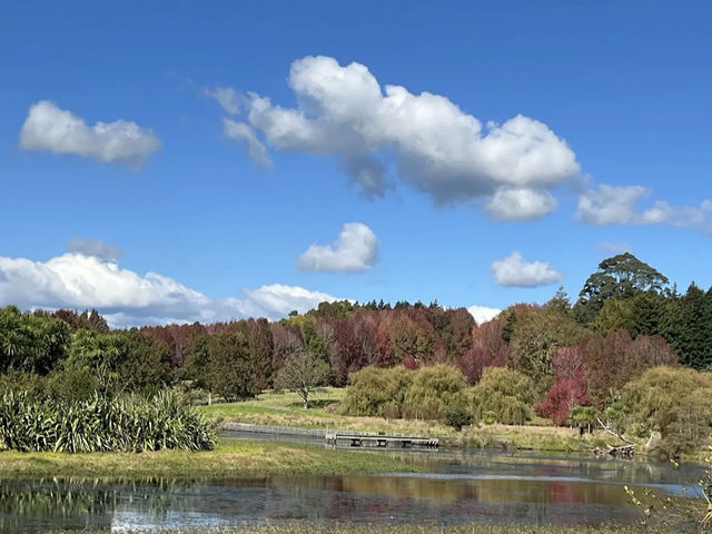 Ayrlies Garden and Wetlands