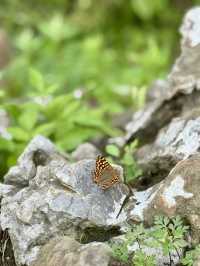 Do you love China natural ?