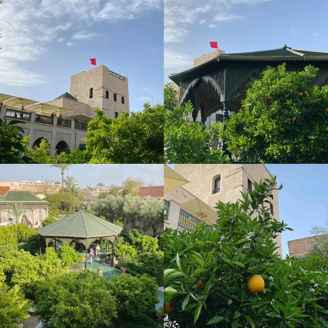 Secret Oasis in the Medina 🌿🕌✨