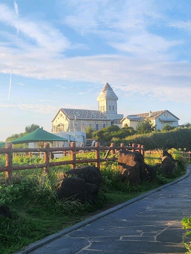 Sun-Kissed Adventures on Jeju Island! ☀️✨