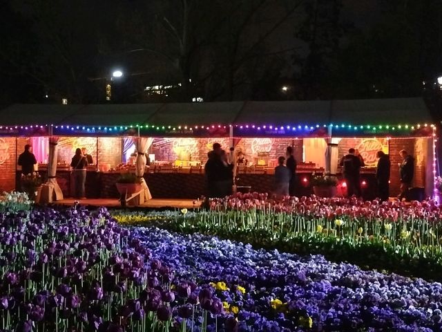 🌹Floriade Nightfest🌹