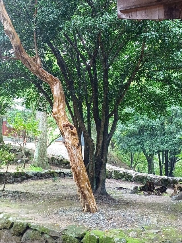 자연과 불심이 어우러진 힐링 사찰