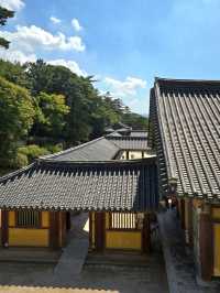 천년 고도 경주 여행 필수 코스, 경주 불국사