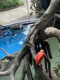 MANILA OCEAN PARK & BIODOME BLISS