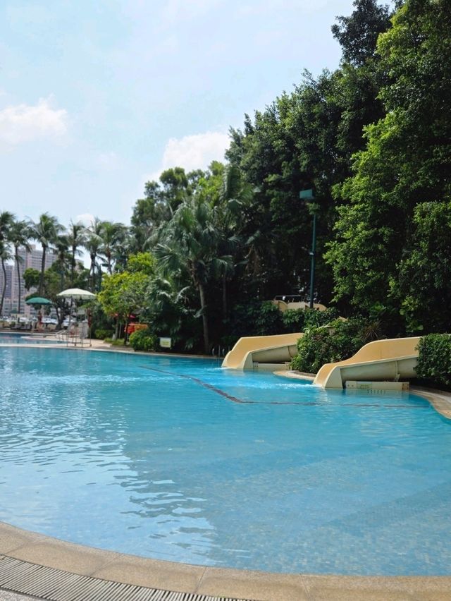 椰樹環繞渡假泳池打卡必去🌴 椰樹環繞渡假泳池打卡必去🌴