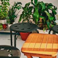 Featherlight Moments, Manila’s Gentle Nest