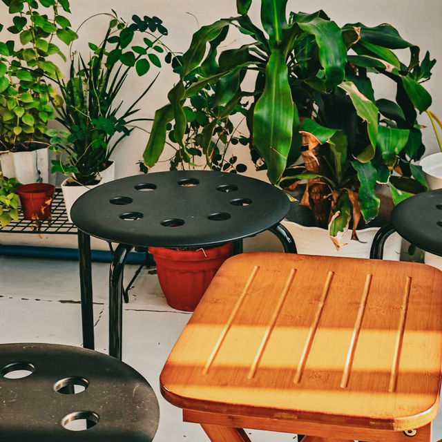 Featherlight Moments, Manila’s Gentle Nest Featherlight Moments, Manila’s Gentle Nest