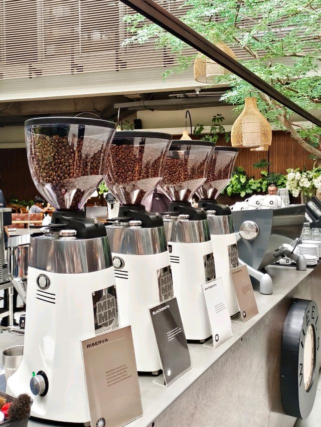 ☕ My Favorite Café in Bandung — Wheels Coffee Roastery 🌿✨