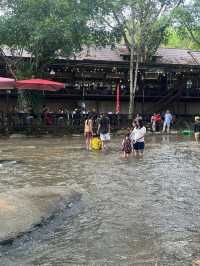 ปางแฟน Rock n’River 