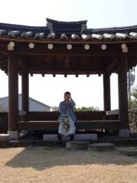 🇰🇷韓屋ホテル <済州島で感じる韓国の伝統宿>