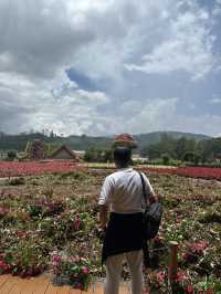 Fresh Garden Dalat 🌹🌺🌸