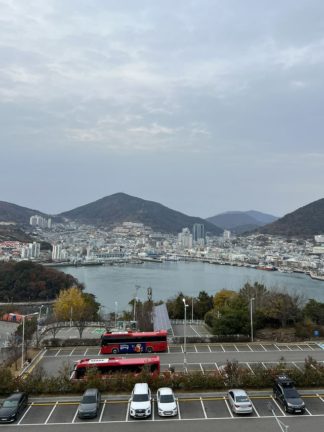  🍁 자산공원 가을 여행 🍁