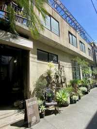 📚 Green Escape at ROUTE BOOKS – A Book Café Like No Other