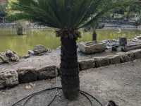 Botanical Garden of Crete