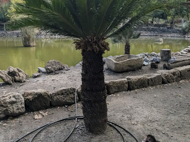 Botanical Garden of Crete