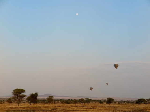 Endless Plains Alive with the Spirit of the Wild