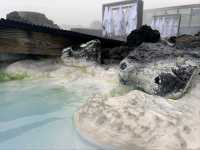“Iceland’s Heavenly Blue Haven”