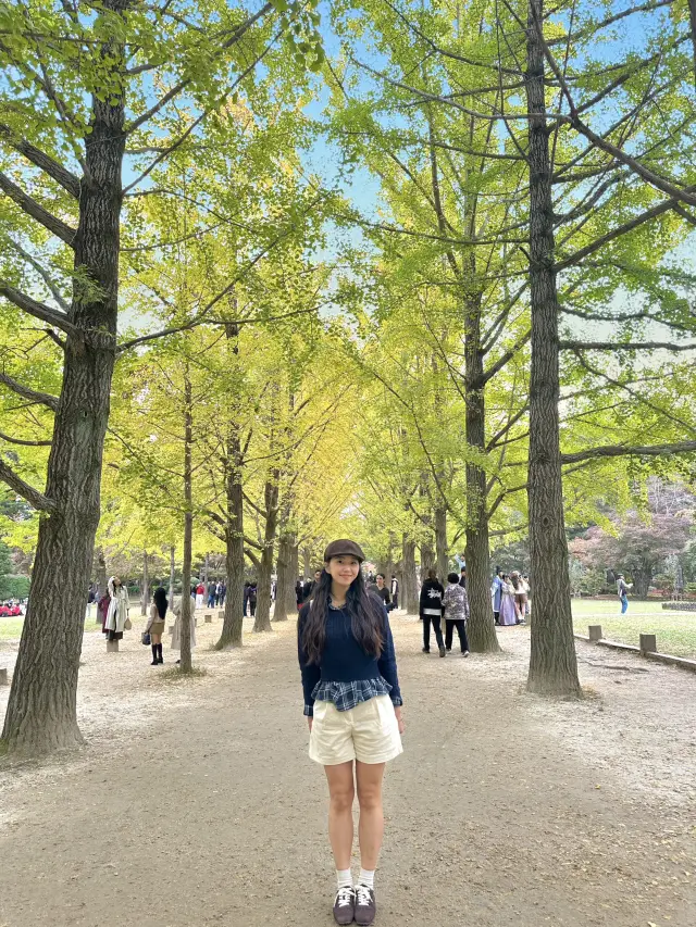 A must-visit destination in autumn: Nami Island