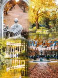 🍂 Paris – Autumn Romance Beneath the Golden Leaves 🇫🇷✨