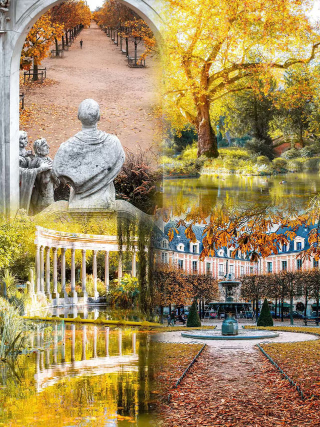 🍂 Paris – Autumn Romance Beneath the Golden Leaves 🇫🇷✨