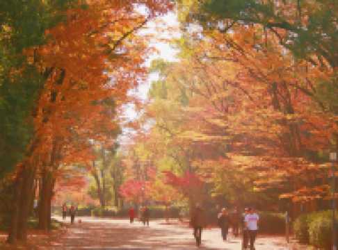 Autumn in Kansai