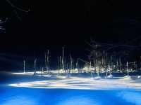 冬季限定 白金青池 芽登溫泉