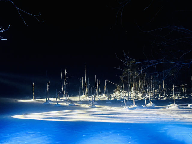 冬季限定 白金青池 芽登溫泉