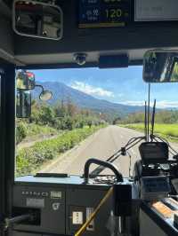 🚢 【1時間半で完結!朝イチ🌋桜島プラン】