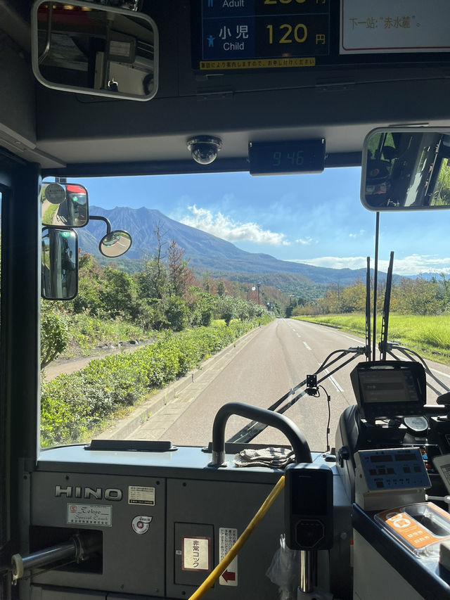 🚢 【1時間半で完結!朝イチ🌋桜島プラン】 🚢 【1時間半で完結!朝イチ🌋桜島プラン】