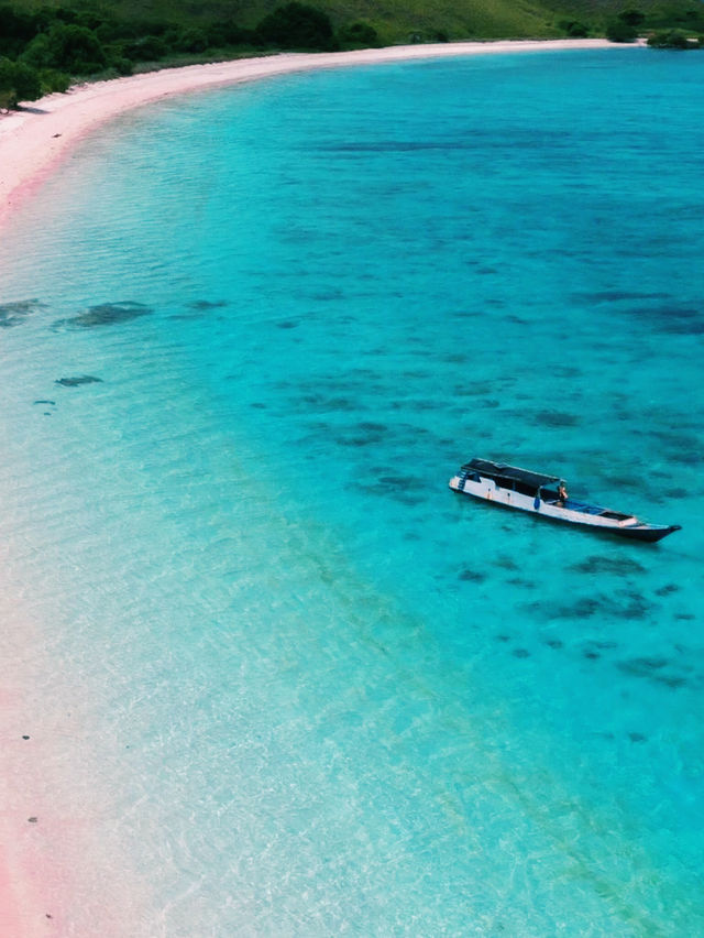 印尼🇮🇩科莫多島繽紛色彩