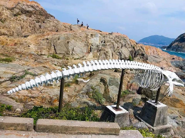 Hong Kong's Secret Blue Heart